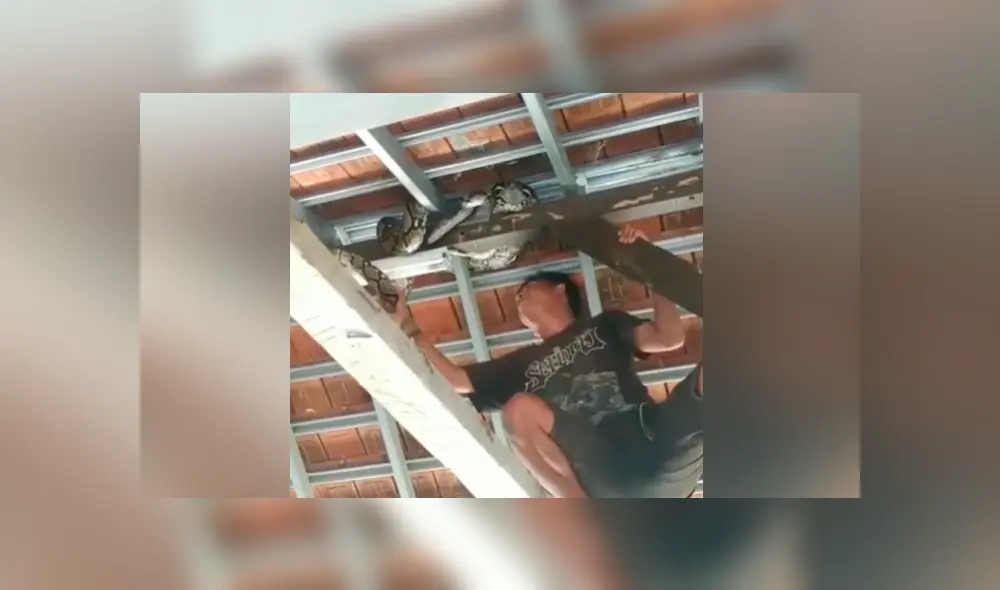 Desliza para ver los momentos más aterradores del video que se hizo viral en YouTube. Desliza para ver los momentos más aterradores del video que se hizo viral en YouTube.