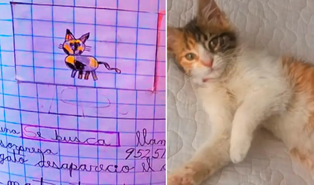 Hecho se volvió viral en redes sociales. Foto: captura Exitosa/ Yani Flores