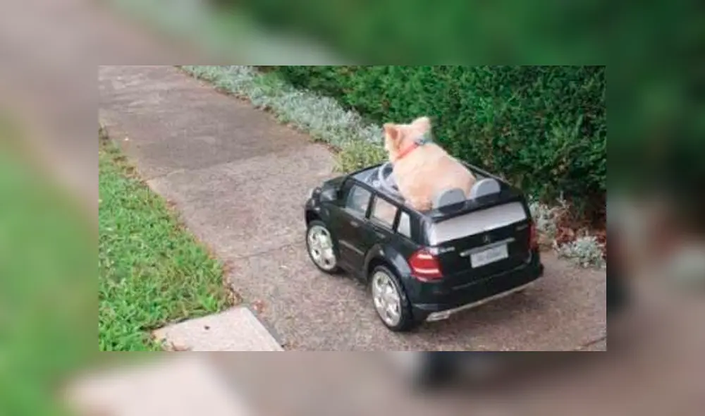 Desliza a la izquierda para ver más imágenes sobre esta peculiar multa. (Foto: Facebook)