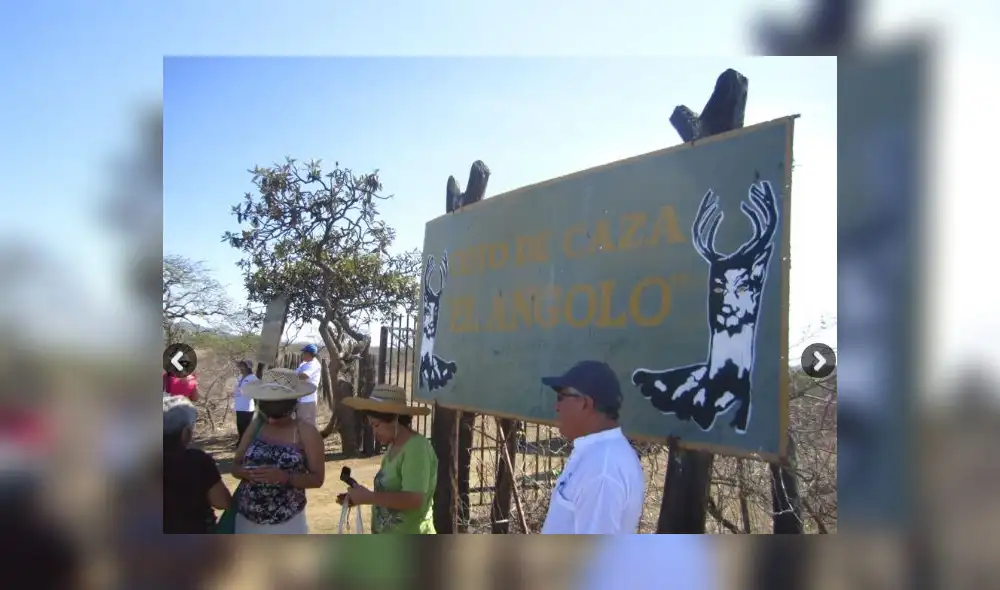 Piura: promocionan Coto de Caza El Angolo