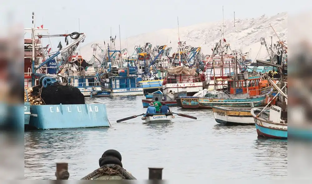 Pescadores artesanales no pudieron laborar durante el estado de emergencia por la COVID-19. Pescadores artesanales no pudieron laborar durante el estado de emergencia por la COVID-19.
