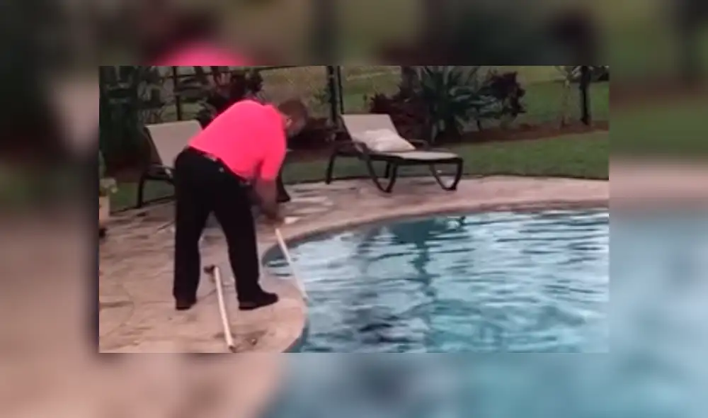 Youtube viral: Familia elimina extraña criatura que apareció en su piscina [VIDEO]