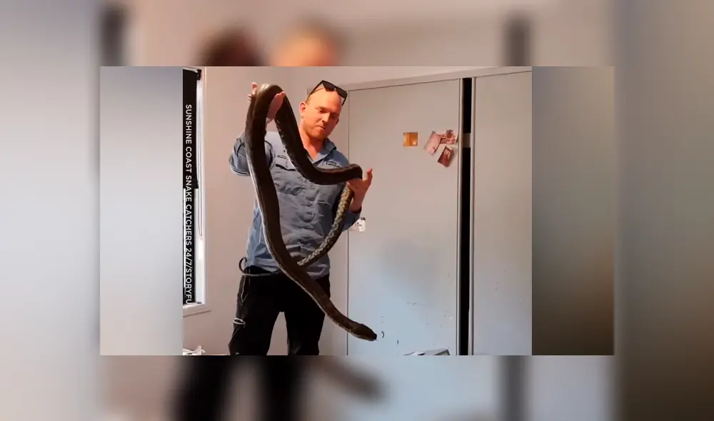 Escucha perturbador ruido en armario, lo abre y saca enorme reptil que lo ataca [VIDEO] 