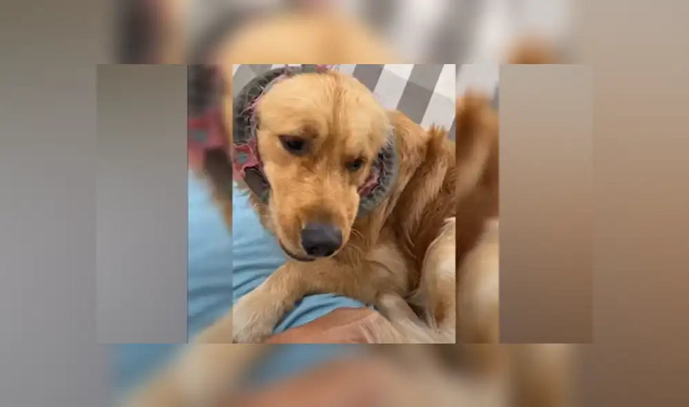 Desliza hacia la izquierda para ver las imágenes del viral de Facebook. Foto: Captura.