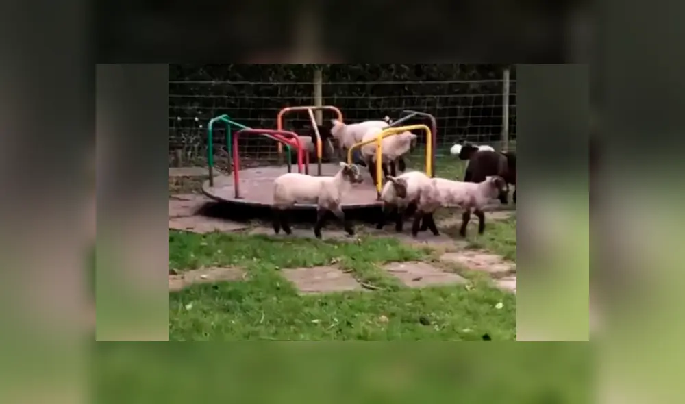 Desliza hacia la izquierda para verlas imágenes del viral de Facebook.