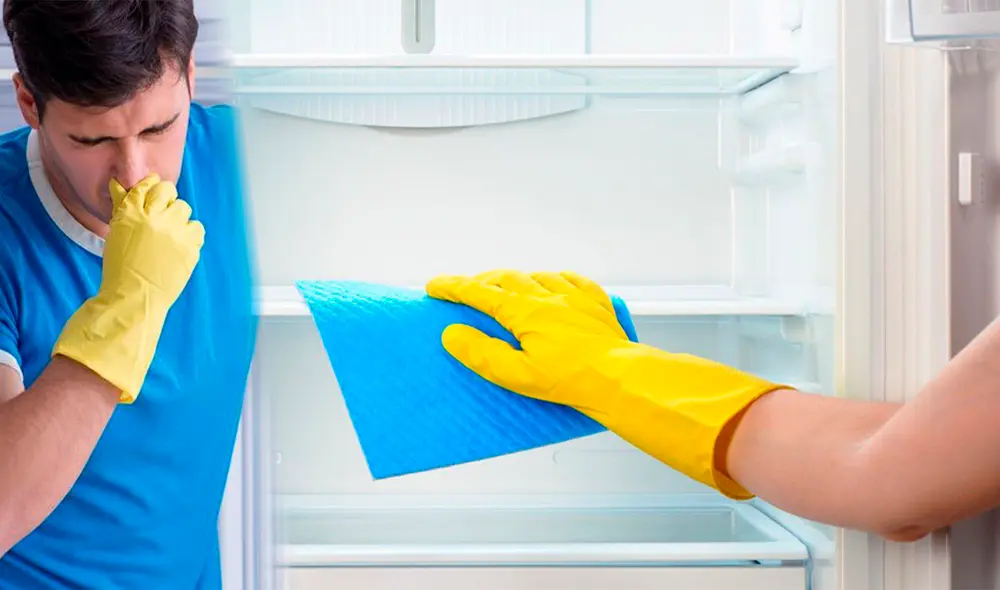 Puedes optar por recomendaciones sencillas de seguir. Foto: Composición LR / purotip Puedes optar por recomendaciones sencillas de seguir. Foto: Composición LR / purotip