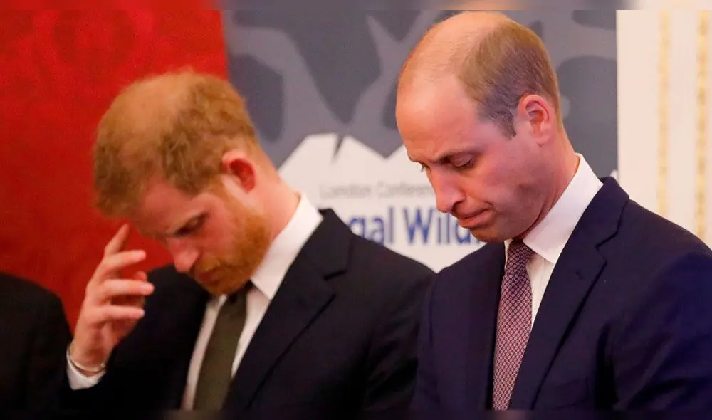 Príncipes Harry y William