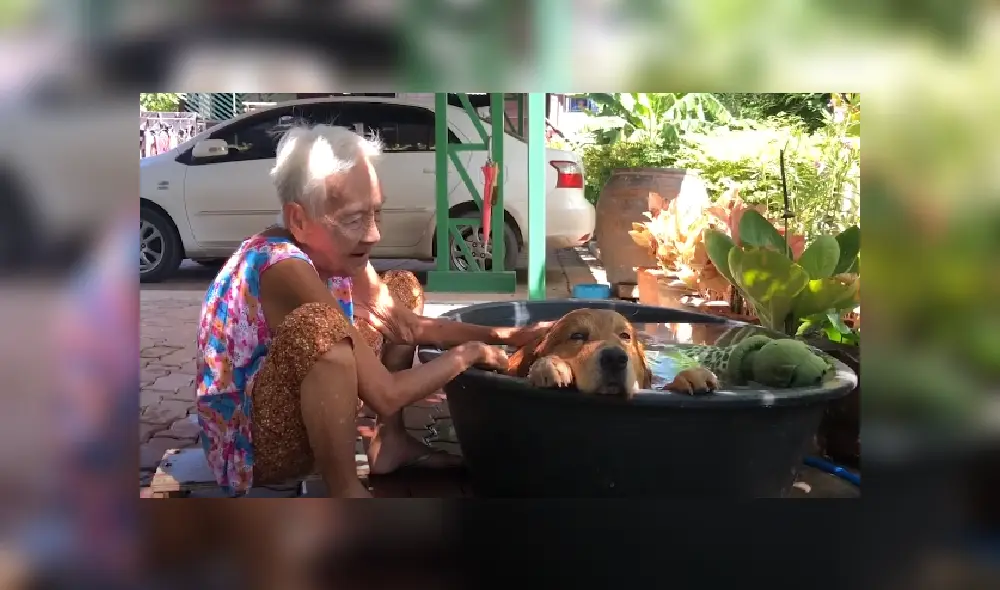 Desliza las imágenes para ver más detalles de esta tierna escena que es viral en YouTube.