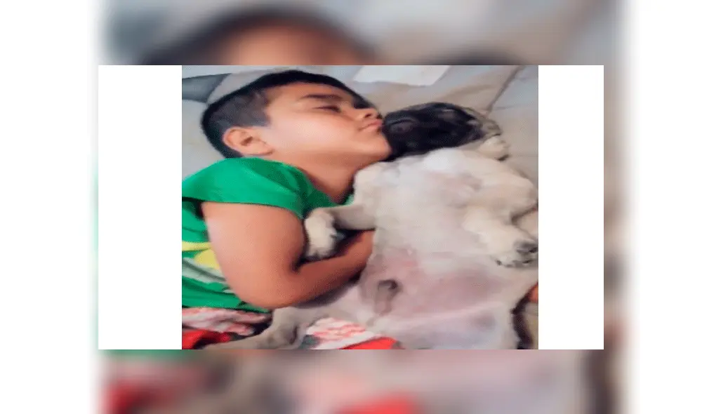 Papá llega a casa y encuentra a su perro e hijo en una conmovedora escena [VIDEO]