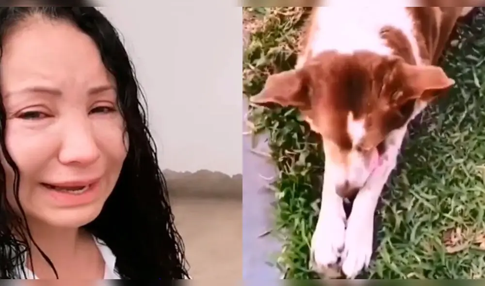 Janet Barboza descubre al asesino de su perro Janet Barboza descubre al asesino de su perro