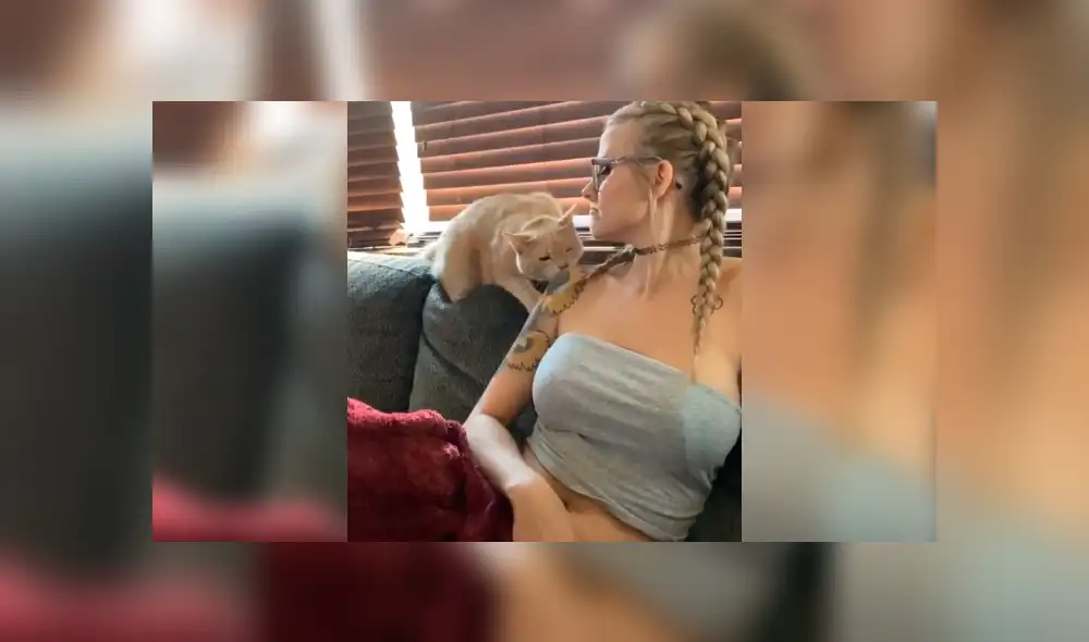 Desliza la imagen de YouTube para verlas todas. Foto: captura Desliza la imagen de YouTube para verlas todas. Foto: captura