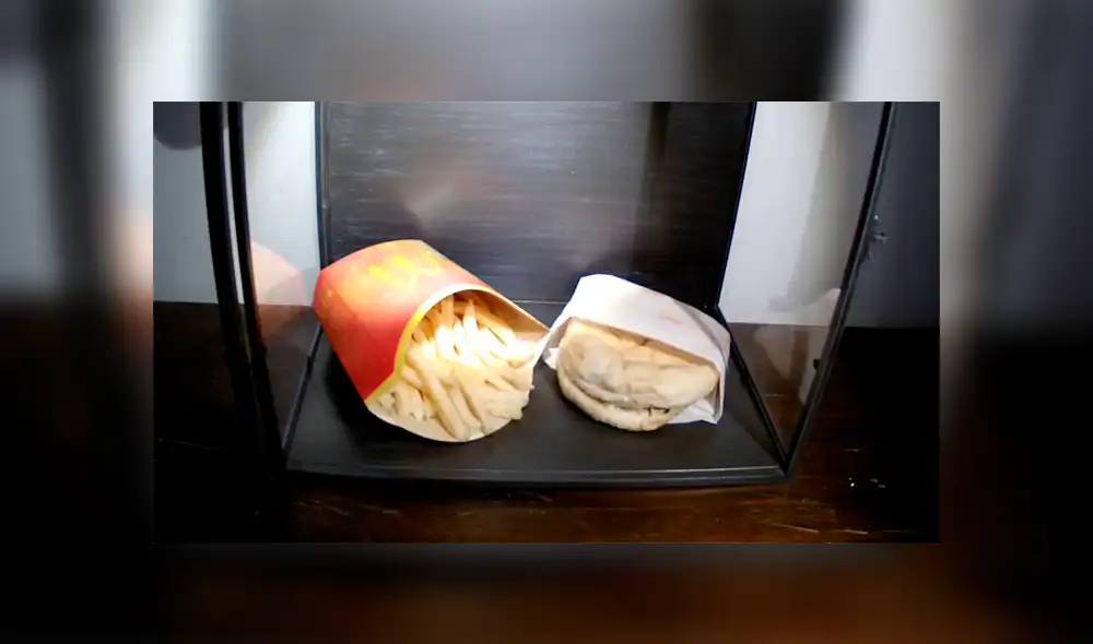 Después de 10 años una hamburguesa de McDonald’s se mantiene intacta. Después de 10 años una hamburguesa de McDonald’s se mantiene intacta.
