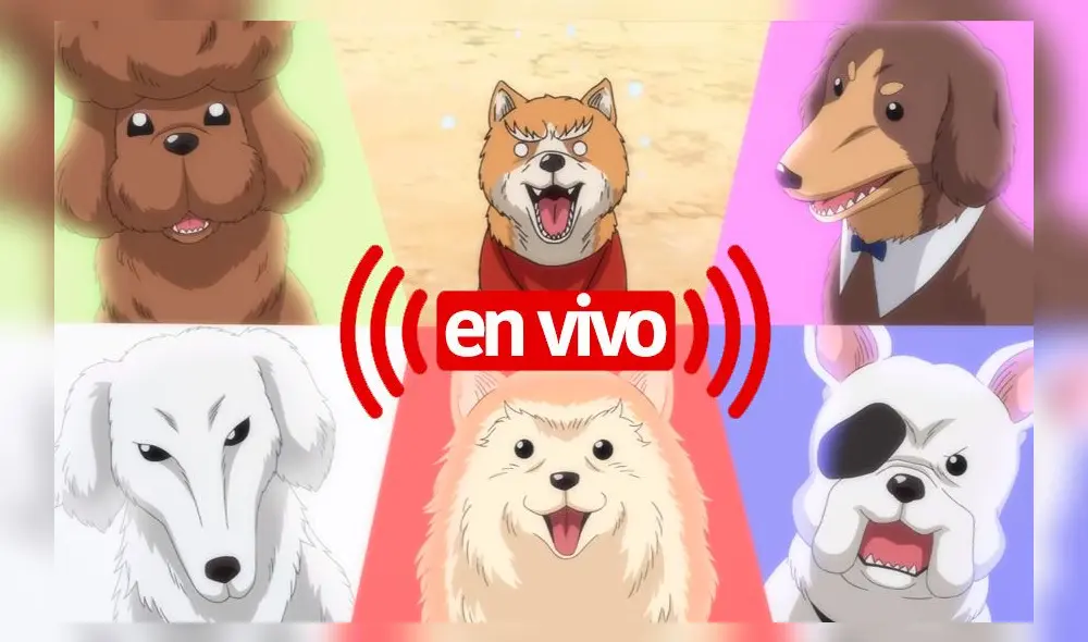 Oda Cinnamon Nobunaga EN VIVO capítulo 4. Créditos: Composición