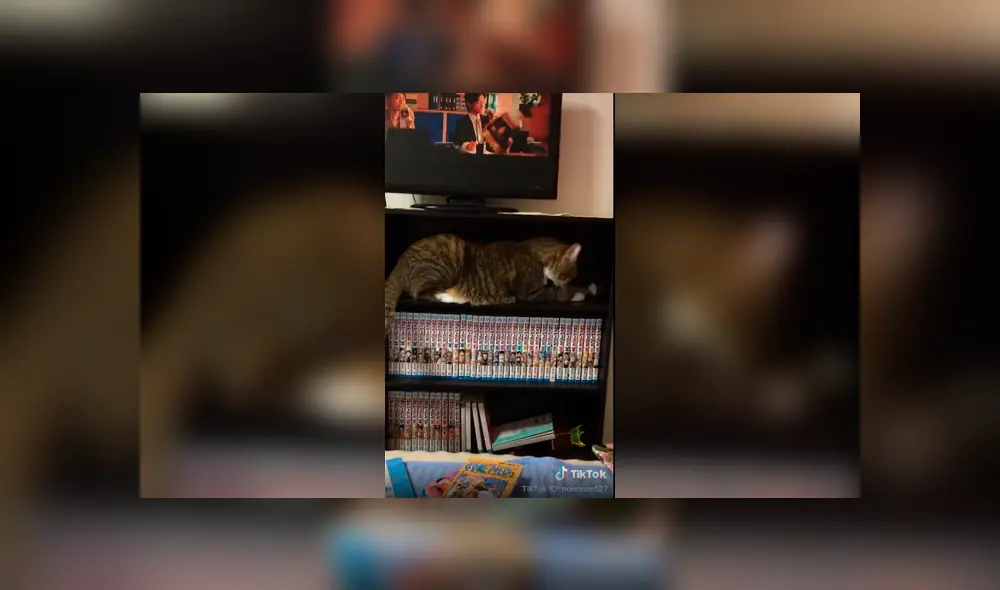 Desliza a la izquierda para ver el nuevo viral de Facebook que ha hecho reír a miles de usuarios. Foto: Captura.