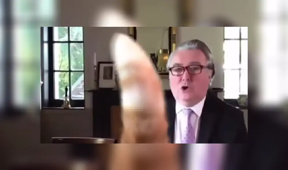 Desliza las imágenes para ver más sobre esta curiosa escena que protagonizó un travieso gato. (Foto: captura) Desliza las imágenes para ver más sobre esta curiosa escena que protagonizó un travieso gato. (Foto: captura)