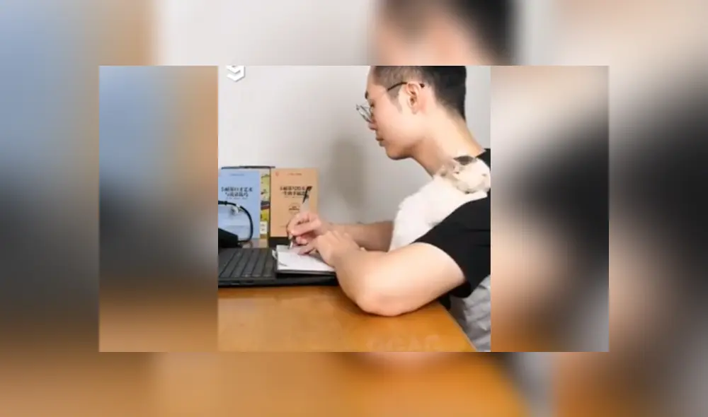 Desliza a la izquierda para conocer más sobre este nuevo viral de YouTube. Foto: Captura.