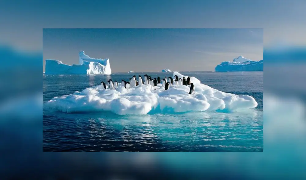 Pingüinos Adelia sobre un casquete de la Antártida. Foto: AFP. Pingüinos Adelia sobre un casquete de la Antártida. Foto: AFP.