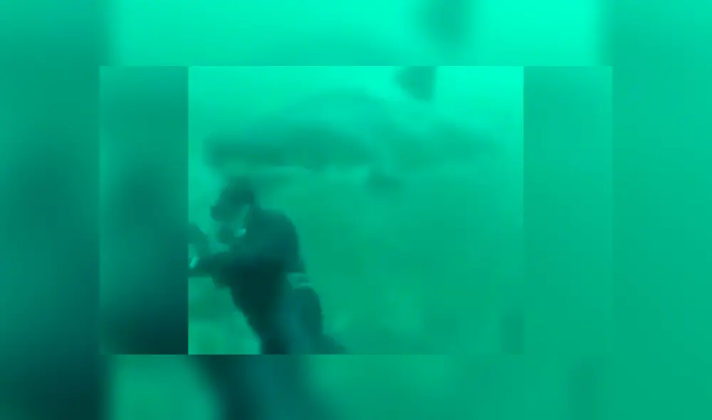 Vía Facebook. Un buzo se encontraba en el fondo del océano, sin imaginar que un feroz tiburón lo estaba acechando.