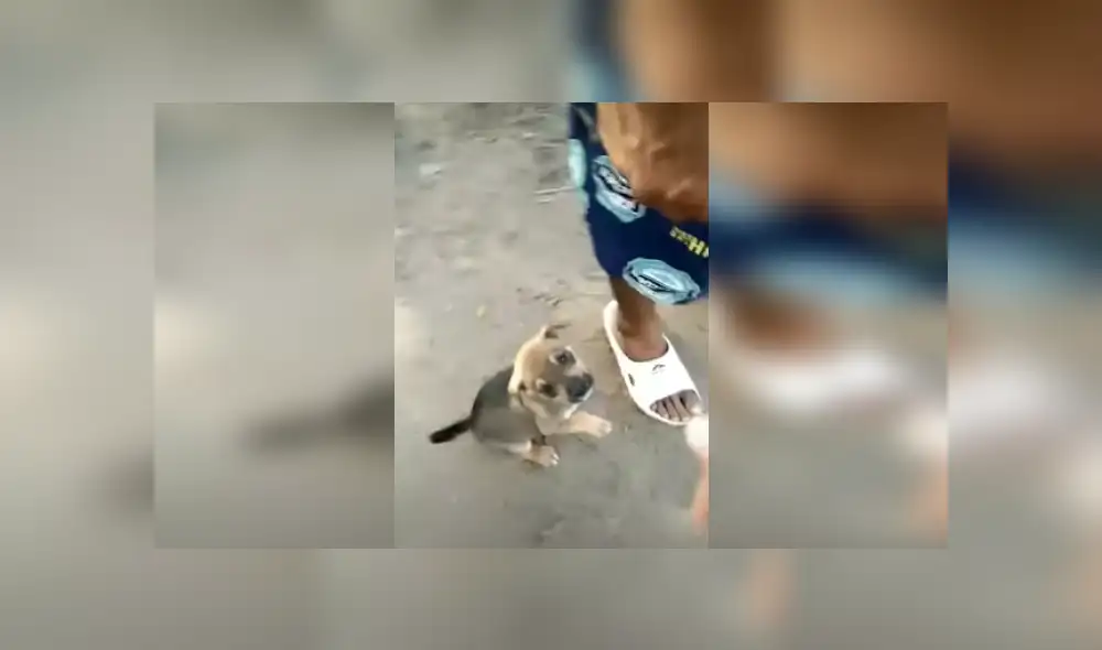 Desliza las imágenes para saber más sobre esta escena que se hizo viral en YouTube.