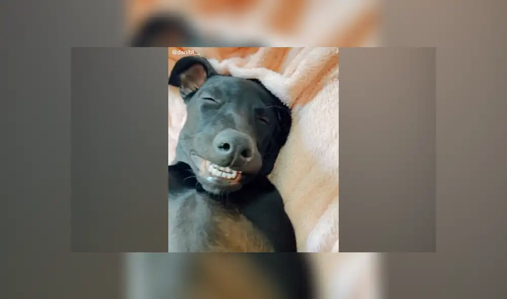 Desliza hacia la izquierda para ver las imágenes del viral de YouTube. Foto: Captura. Desliza hacia la izquierda para ver las imágenes del viral de YouTube. Foto: Captura.