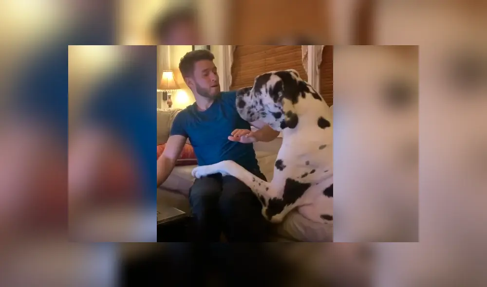 Desliza para ver todas las imágenes de Facebook. Foto: captura