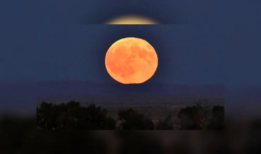 Luna de cosecha Luna de cosecha