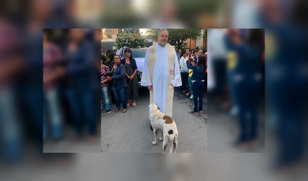 Brasil: Sacerdote realiza misa acompañados de perros para una noble misión [FOTOS]