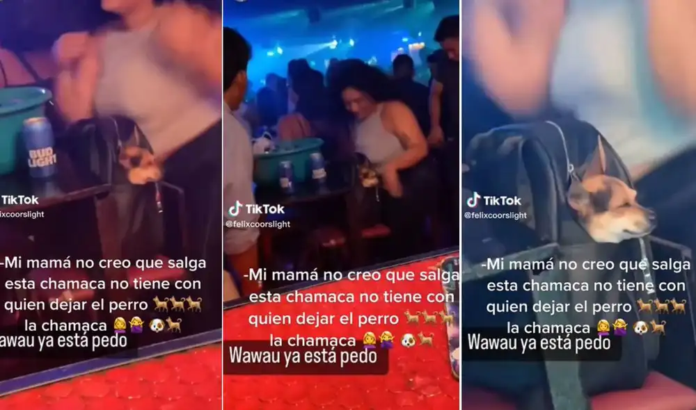 Miles de usuarios han quedado impresionados al ver estas imágenes. Foto: composición LR/TikTok