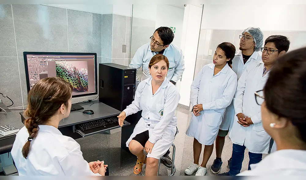 Bolsas del futuro: desechos convertidos en bioplástico