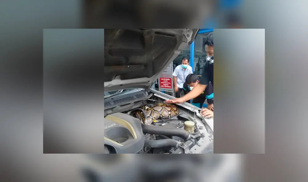 Desliza hacia la izquierda para ver las imágenes del viral de Facebook.