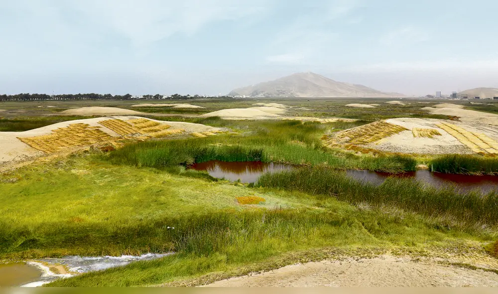 Wachaques de Puerto Viejo [VIDEO]