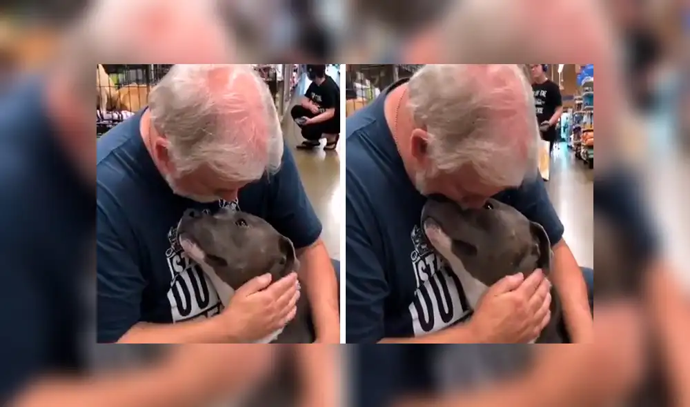 En Facebook, un señor acudió a un albergue de animales para adoptar a un perro y no imaginó la reacción que tendría.