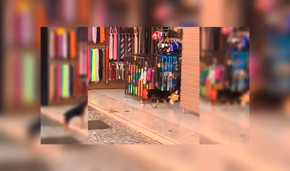 Desliza para ver los detalles del video viral de Facebook. Foto: Captura.