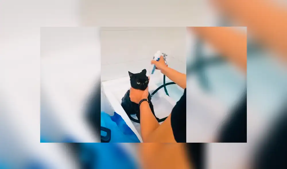 Desliza a la izquierda para ver más sobre el nuevo viral de TikTok. Foto: Captura. Desliza a la izquierda para ver más sobre el nuevo viral de TikTok. Foto: Captura.