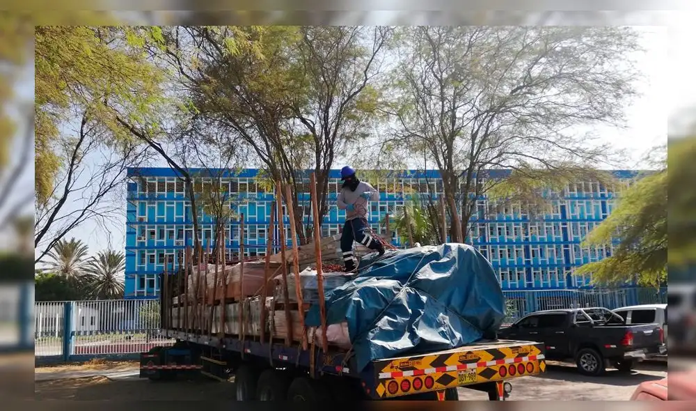 coronavirus coronavirus