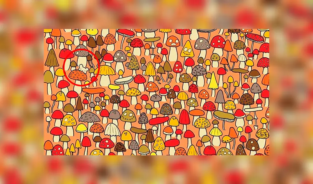 Facebook viral: encuentra al ratón oculto entre hongos, el nuevo reto visual que casi nadie puede superar