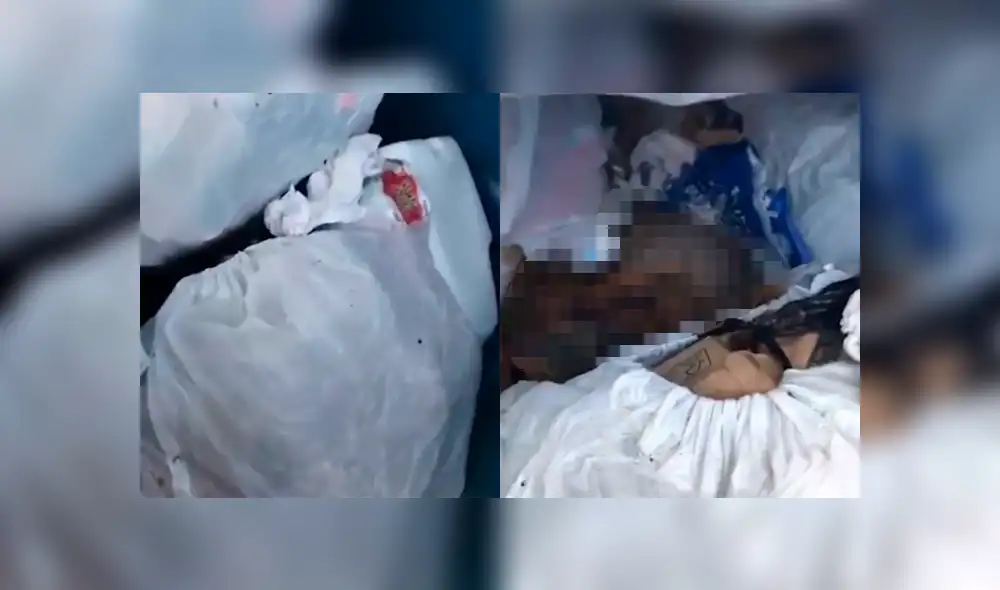 Una insólita grabación muestra a una extraña criatura saliendo despavorida de un bote de basura. Una insólita grabación muestra a una extraña criatura saliendo despavorida de un bote de basura.