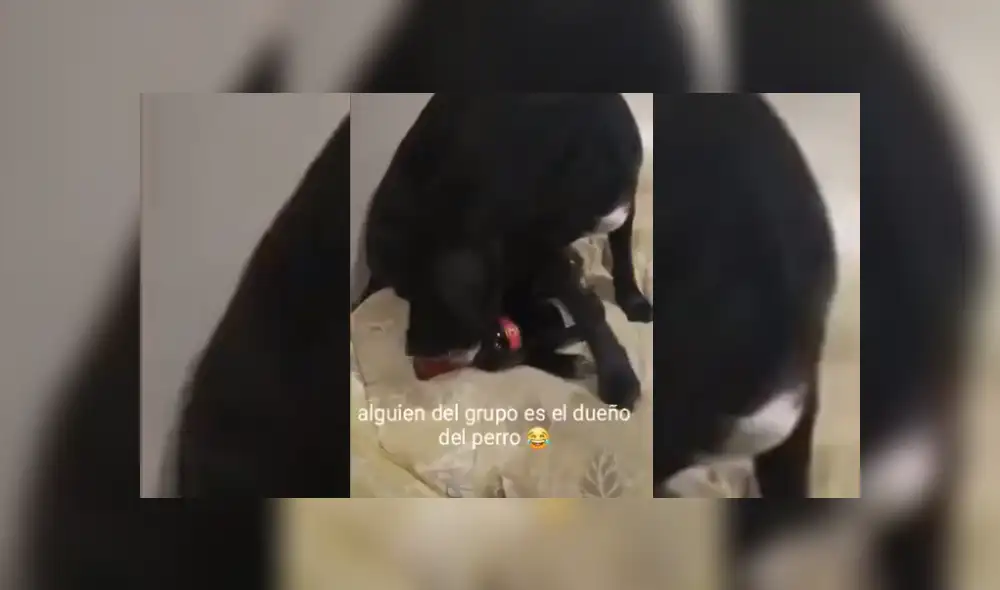 Desliza hacia la izquierda para ver más del video viral. Fotocaptura: TikTok Desliza hacia la izquierda para ver más del video viral. Fotocaptura: TikTok