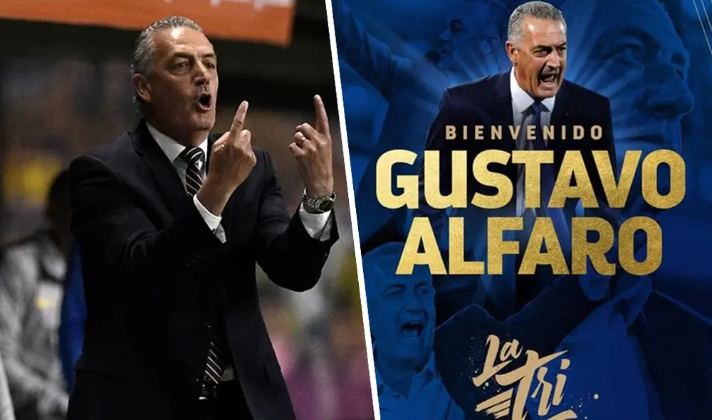 Gustavo Alfaro, nuevo DT de la selección ecuatoriana. | Foto: EFE/ @LaTri Gustavo Alfaro, nuevo DT de la selección ecuatoriana. | Foto: EFE/ @LaTri