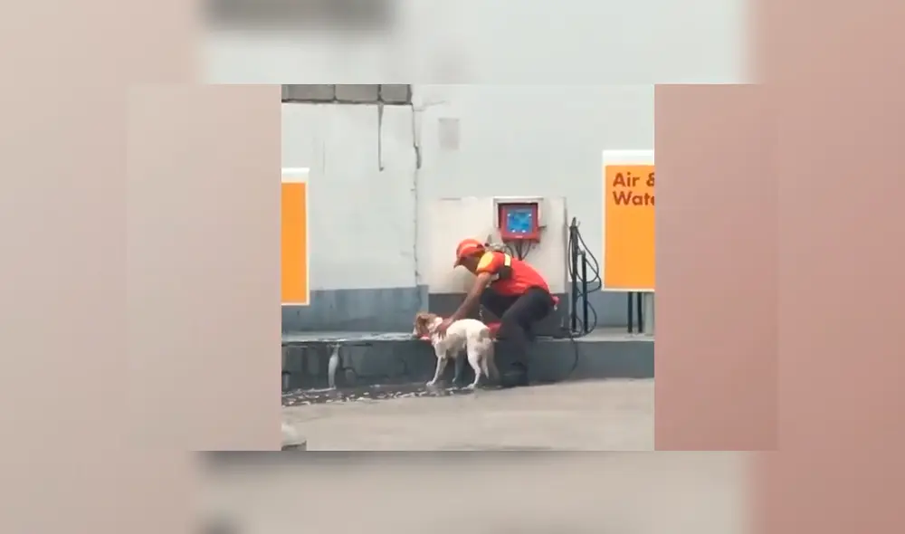 Un grifero se ganó la admiración de miles de usuarios de YouTube tras ser captado bañando a un perro callejero. Un grifero se ganó la admiración de miles de usuarios de YouTube tras ser captado bañando a un perro callejero.