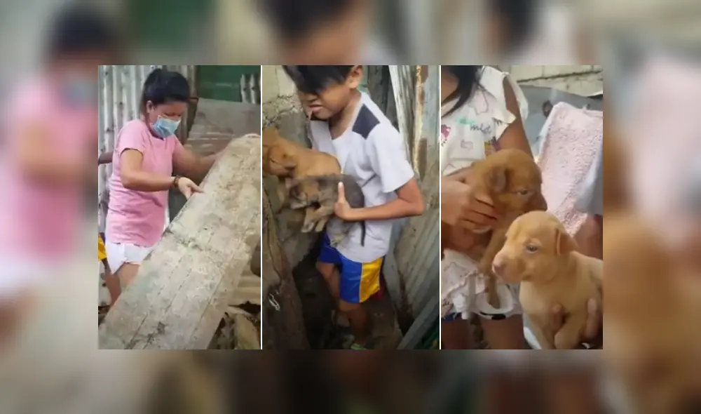 Desliza las imágenes para ver más detalles de esta emotiva historia que es viral en Facebook.
