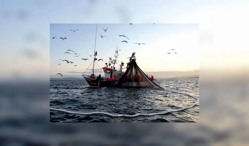 Pesca de anchoveta. Pesca de anchoveta.