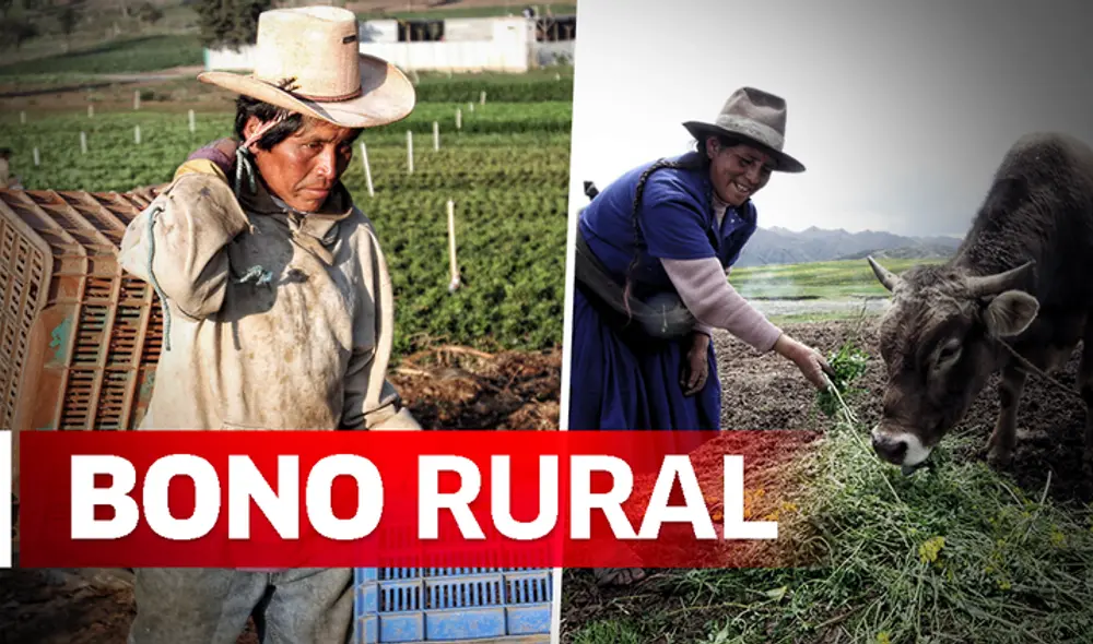 Bono rural Bono rural