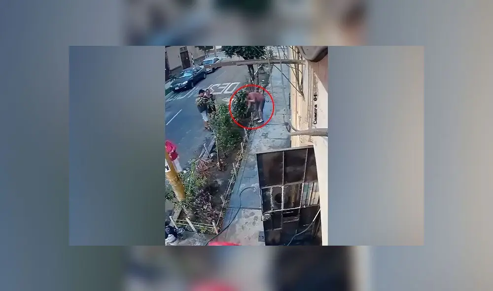 Hombre sufrió descarga eléctrica mientras arreglaba su jardín. Créditos: Captura. Hombre sufrió descarga eléctrica mientras arreglaba su jardín. Créditos: Captura.