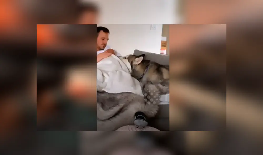 Desliza hacia la izquierda para ver el tierno momento de un perro y un bebé. Imágenes del viral de Facebook. Desliza hacia la izquierda para ver el tierno momento de un perro y un bebé. Imágenes del viral de Facebook.