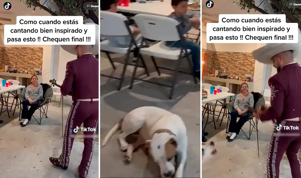 El susto que le dio el perro al cantante sacó miles de sonrisas en redes. Foto: composición de LR/TikTok/@Joseluisosama