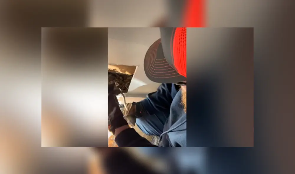 Desliza para ver todas las imágenes de Facebook. Foto: captura