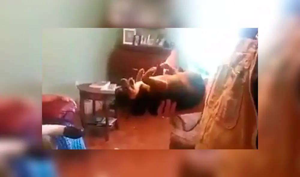 En YouTube, un perro no quería estar separado de su dueño y sorprendió con su comportamiento para evitar que lo alejen de él. En YouTube, un perro no quería estar separado de su dueño y sorprendió con su comportamiento para evitar que lo alejen de él.