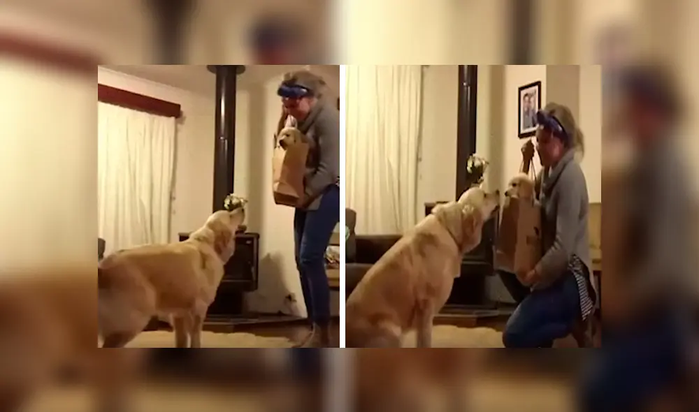 Desliza las imágenes para observar el inesperado comportamiento del perro tras conocer a su nuevo compañero.