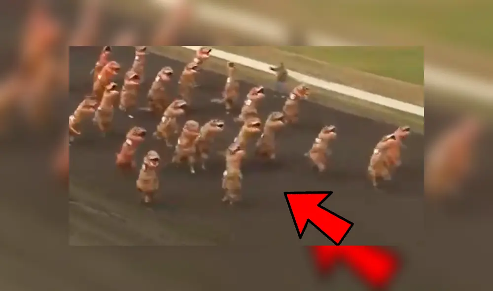 Las criaturas corrieron a lo largo de un hipódromo divirtiendo a los asistentes. Foto: captura